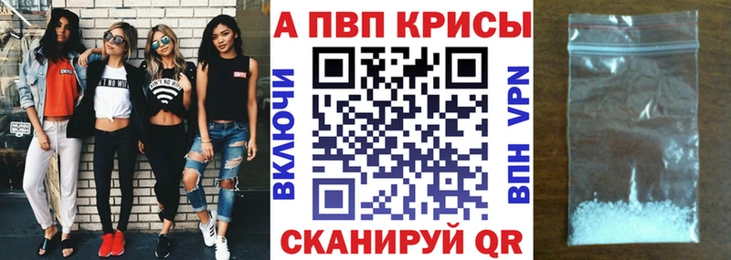Alpha PVP СК где продают shop как зайти Радужный