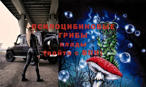 герыч Балахна