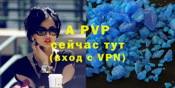 эйфоретик Аркадак